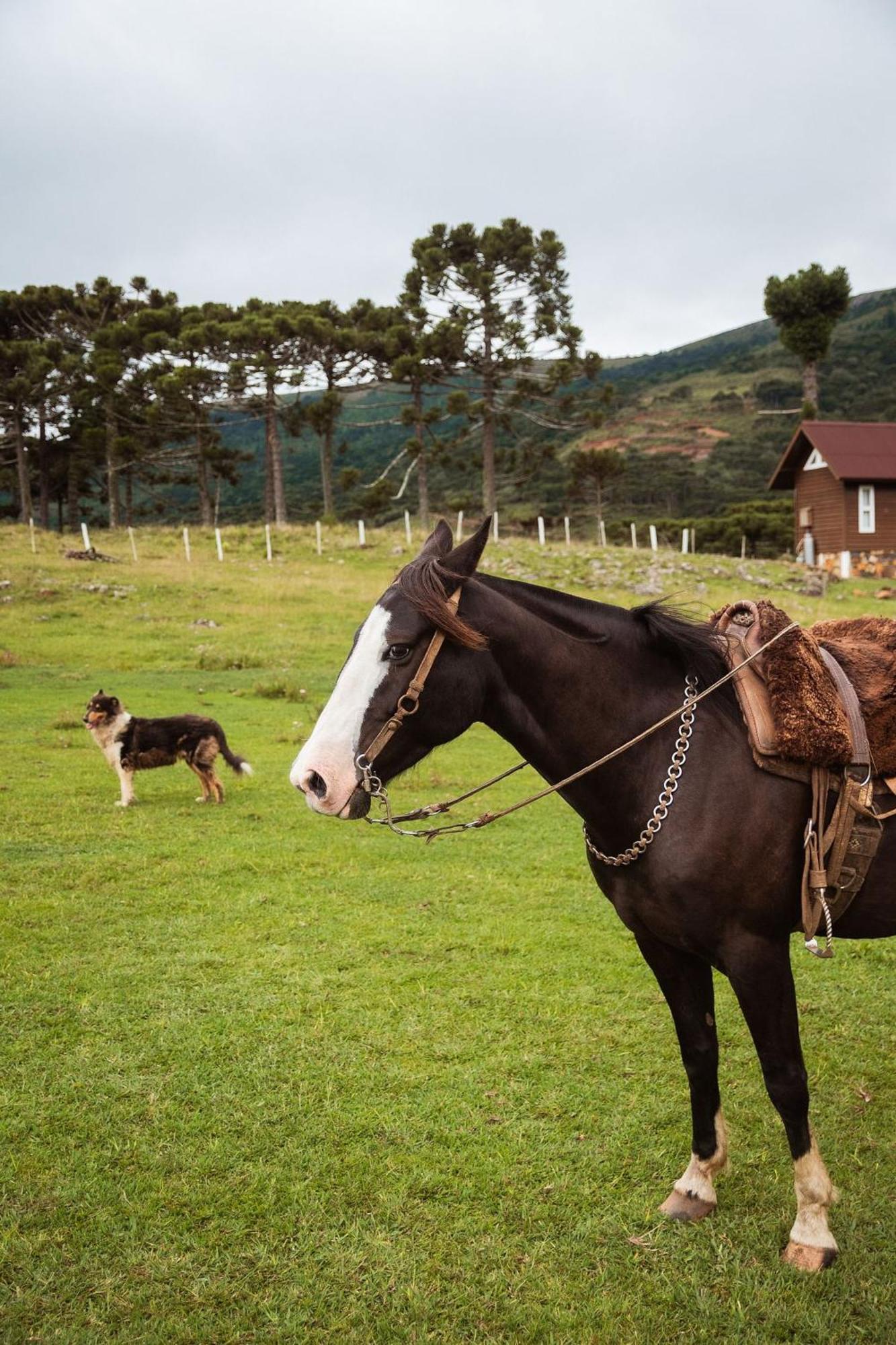 Recanto Das Aguas - Urubici - Sc Buitenkant foto